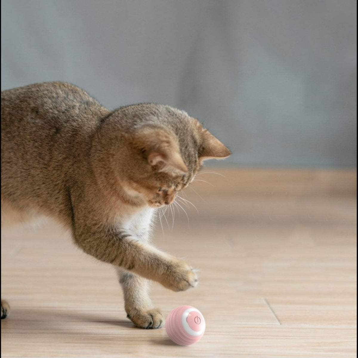 Palla Automatica per Animali – Gioco Interattivo per Cani e Gatti – immagine prodotto 2