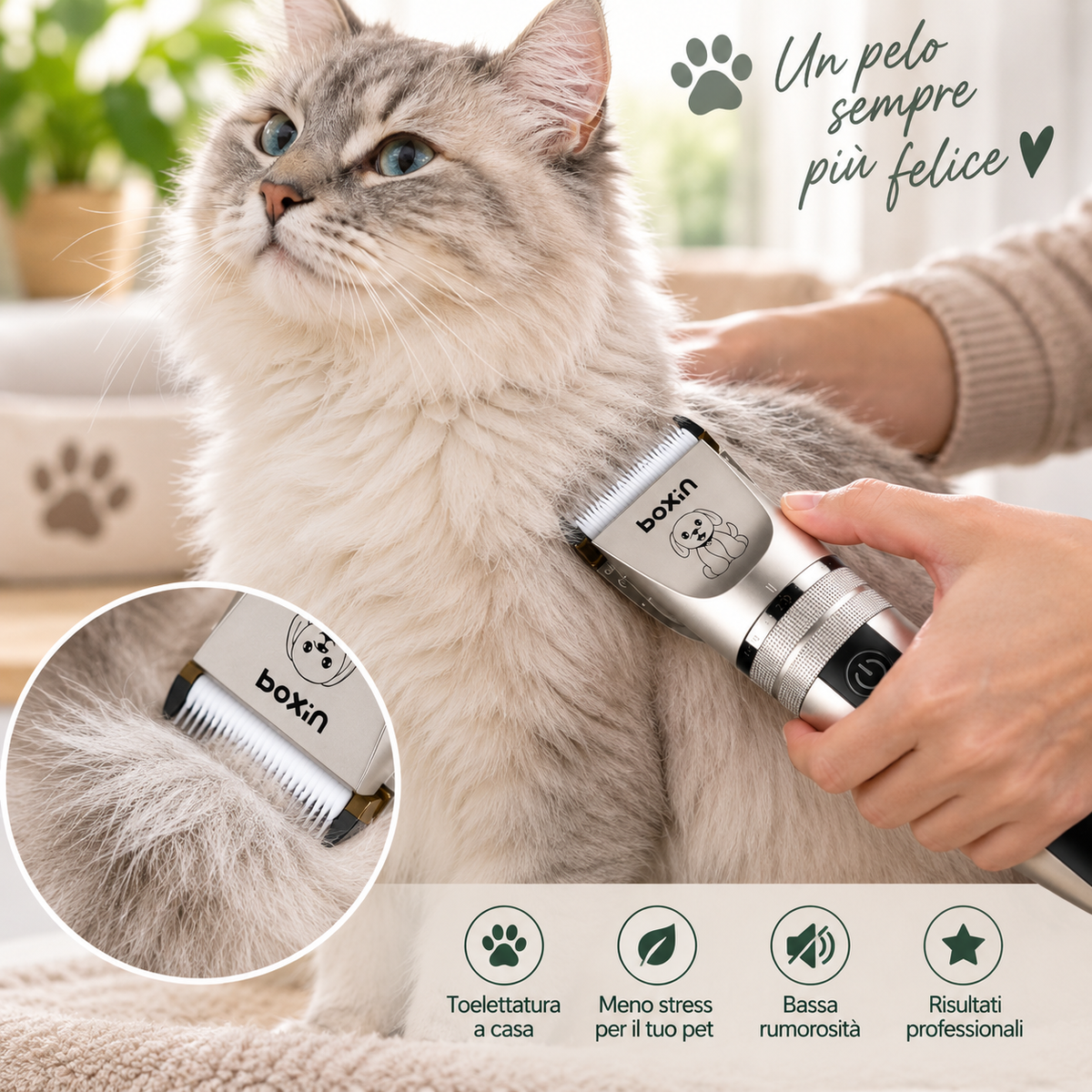 Kit per la Toelettatura di Cani e Gatti – Cura del Pelo a Casa – immagine prodotto 3