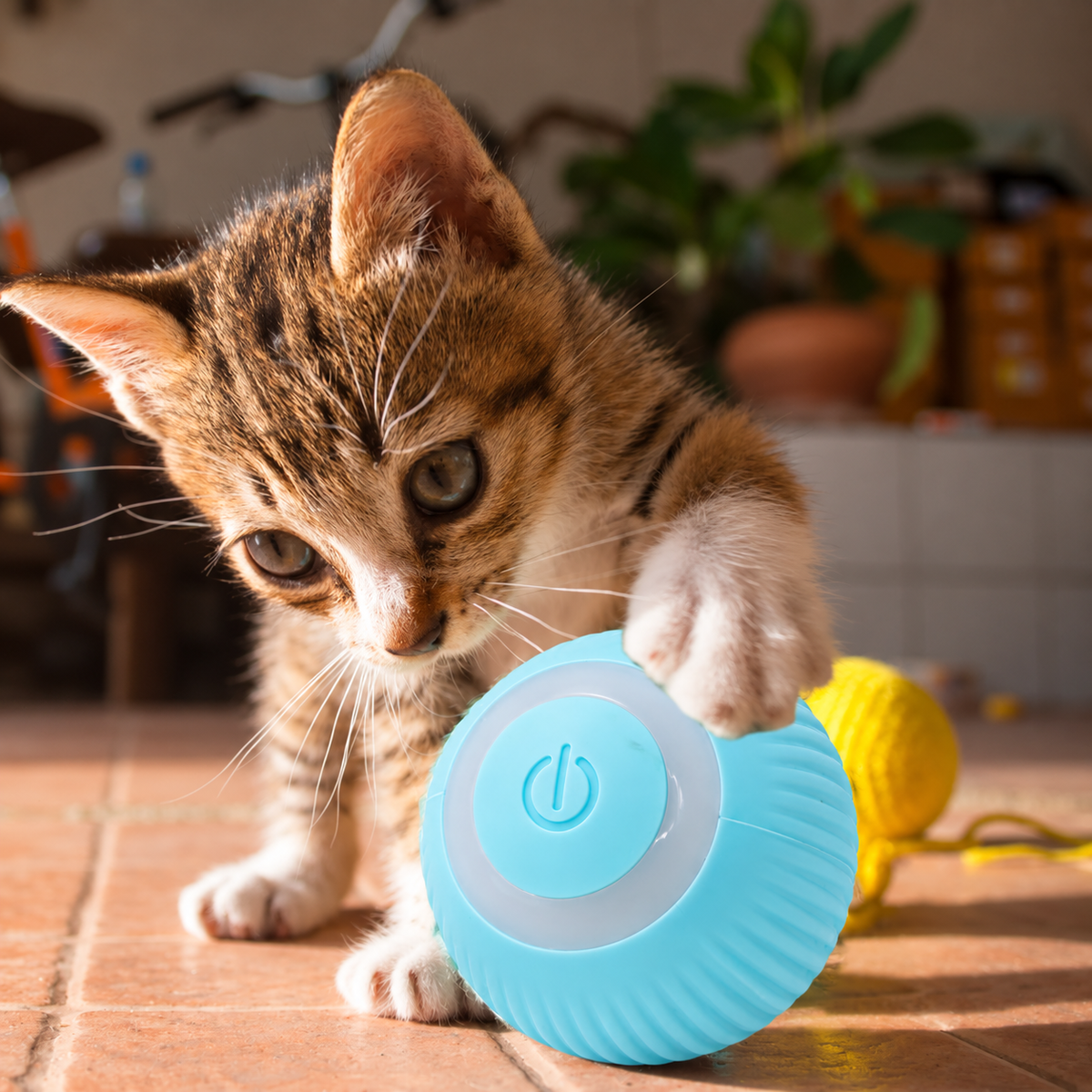 Palla Interattiva per Gatti – Gioco e Stimolazione – immagine prodotto 6