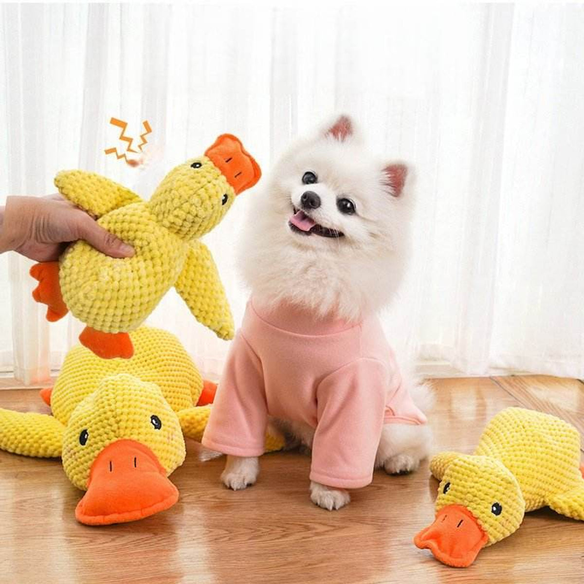 Peluche papera per cani THOMUEL PET