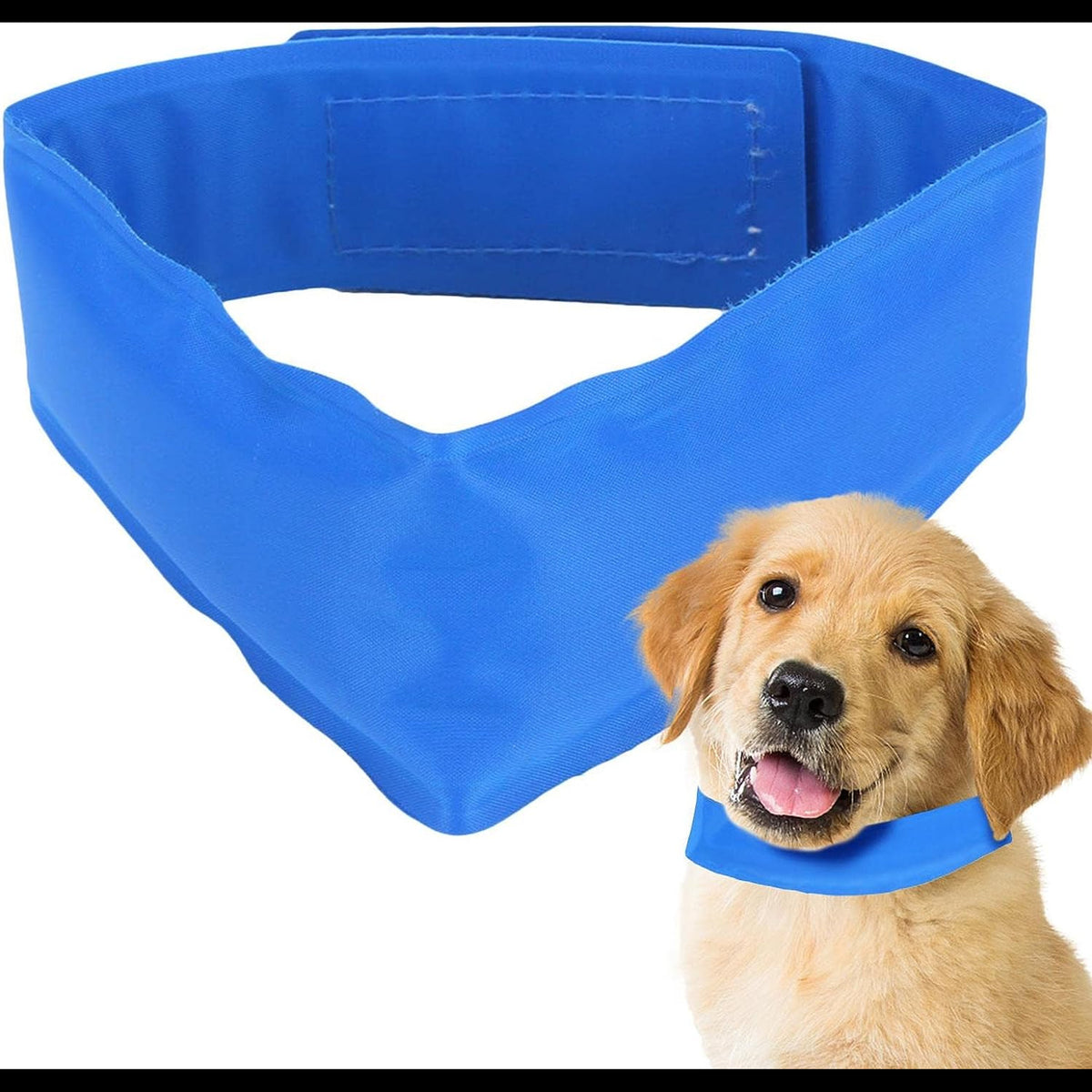 Collare Refrigerante per Cani – Freschezza e Comfort nelle Giornate Calde – immagine prodotto 8