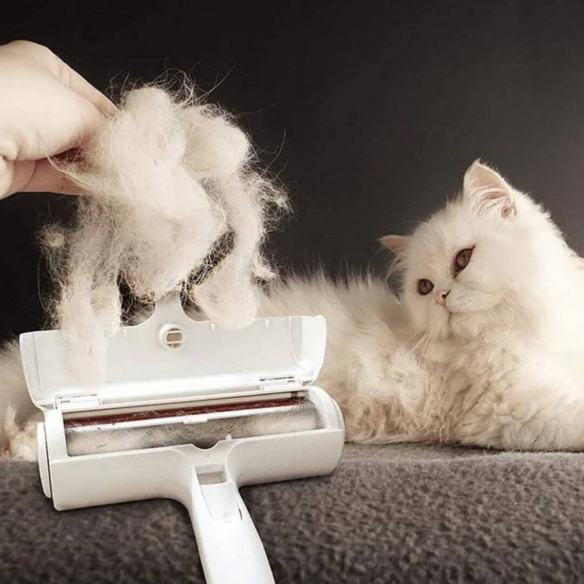 Rullo Togli Peli per Animali – Pulizia di Casa e Tessuti – immagine prodotto 3